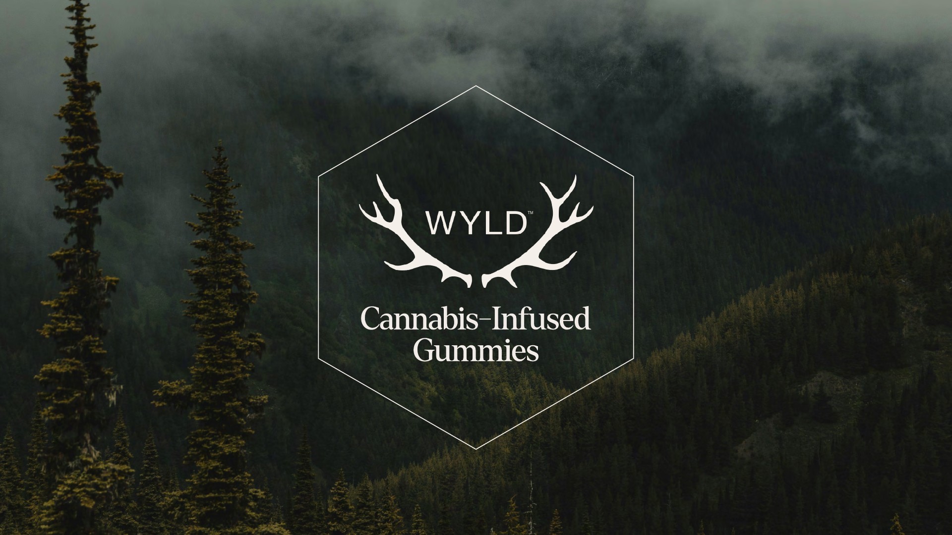 wyld-slide-06