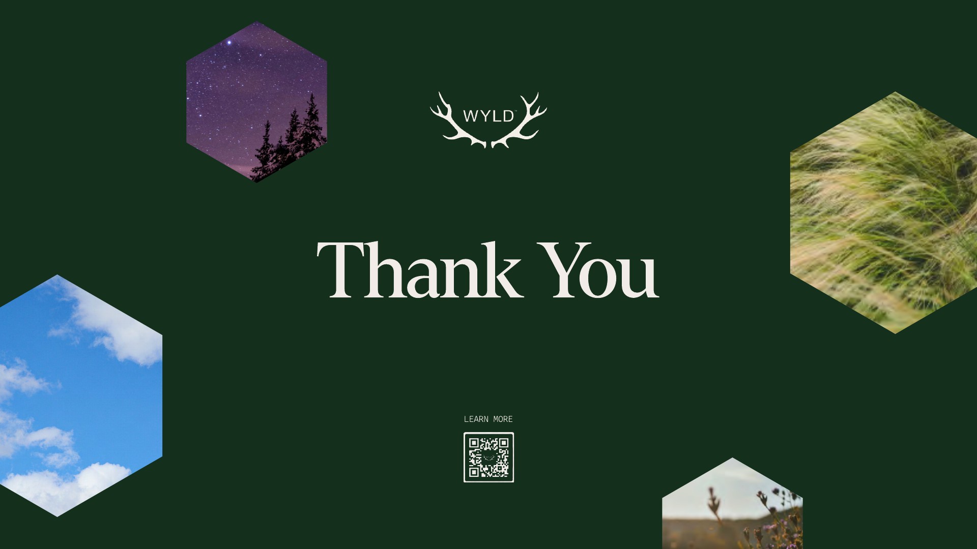 wyld-slide-33