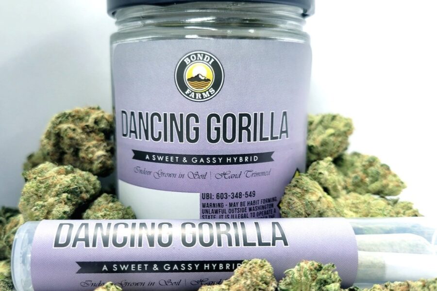 Dancing+Gorilla