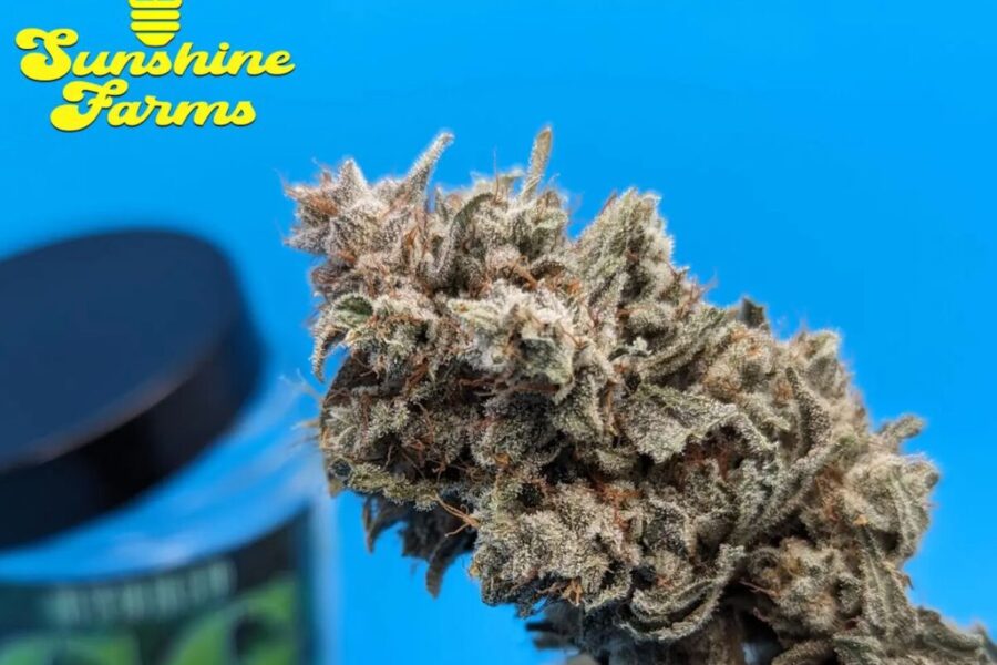 GG#4