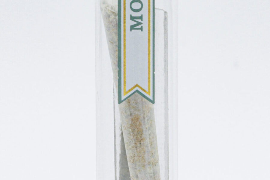 Legacy Joint 1g - Back - Hybrid