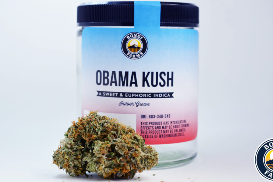 OBAMAKUSH