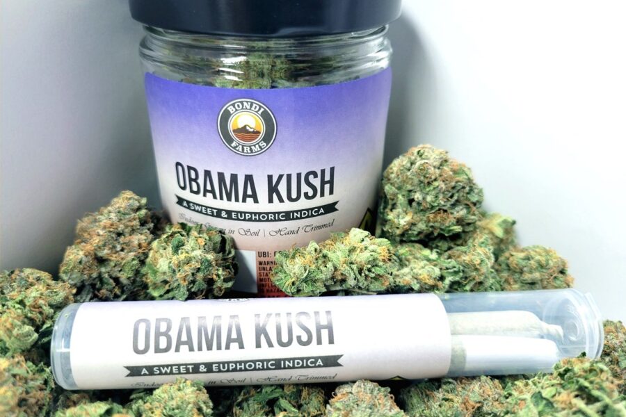 Obama+Kush