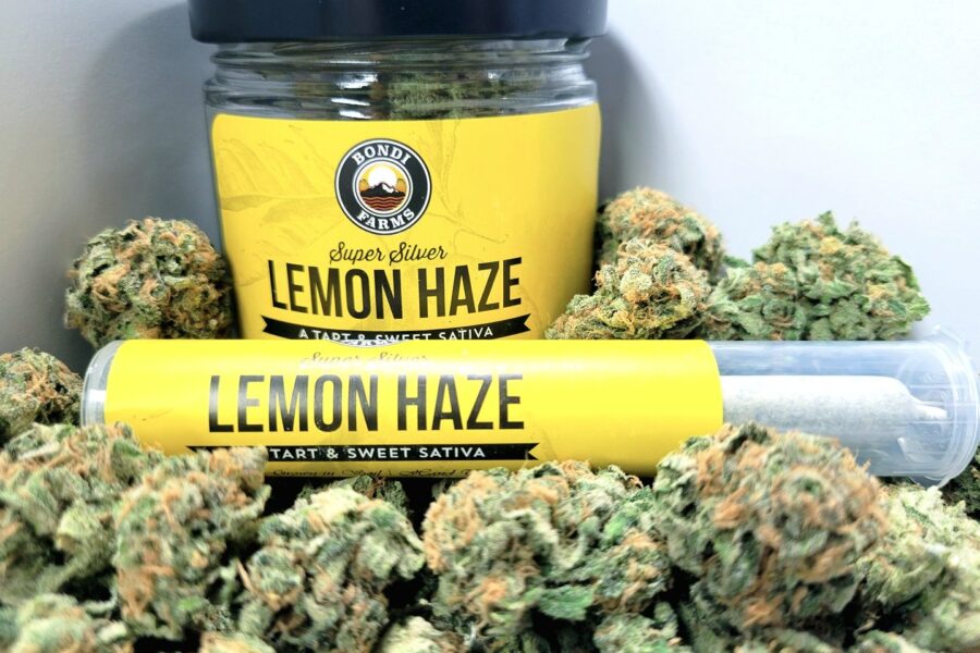 SS+Lemon+Haze