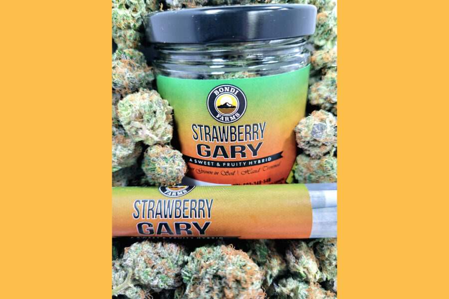 Strawberry+Gary